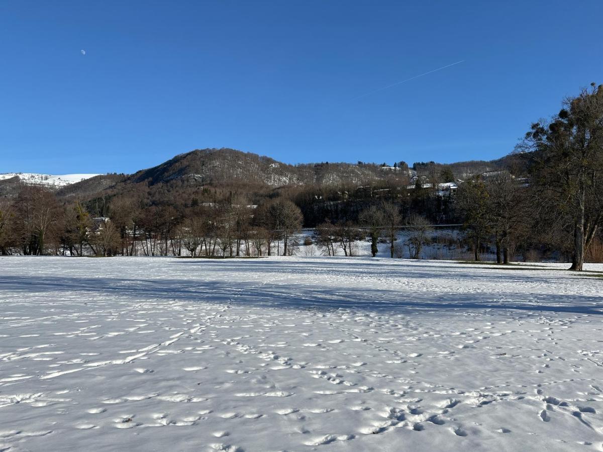 Belle Maison De Ville Au Coeur Du Village De Montagne Vic-sur-Cère Eksteriør billede