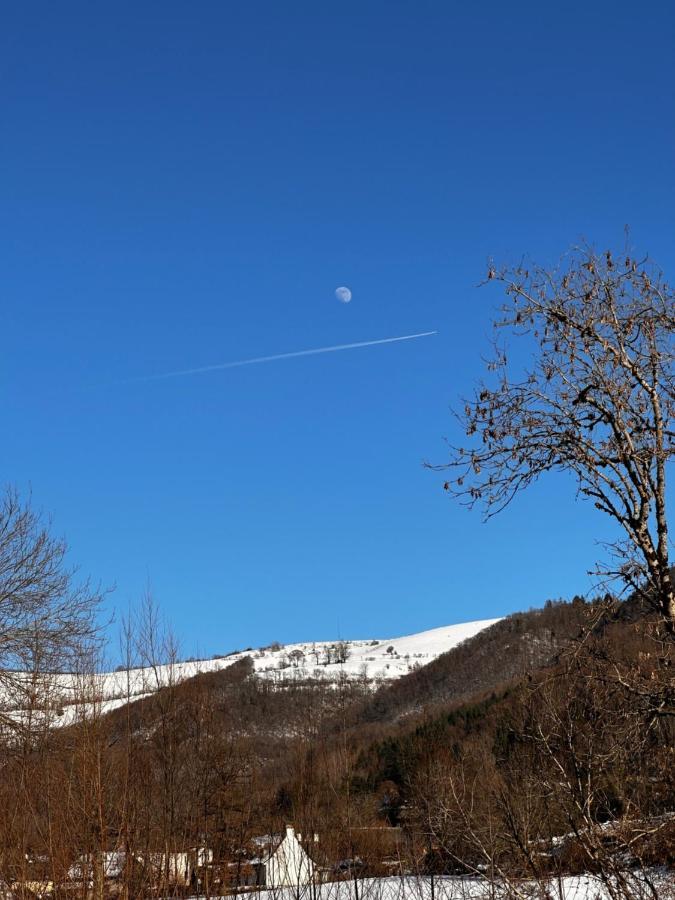 Belle Maison De Ville Au Coeur Du Village De Montagne Vic-sur-Cère Eksteriør billede