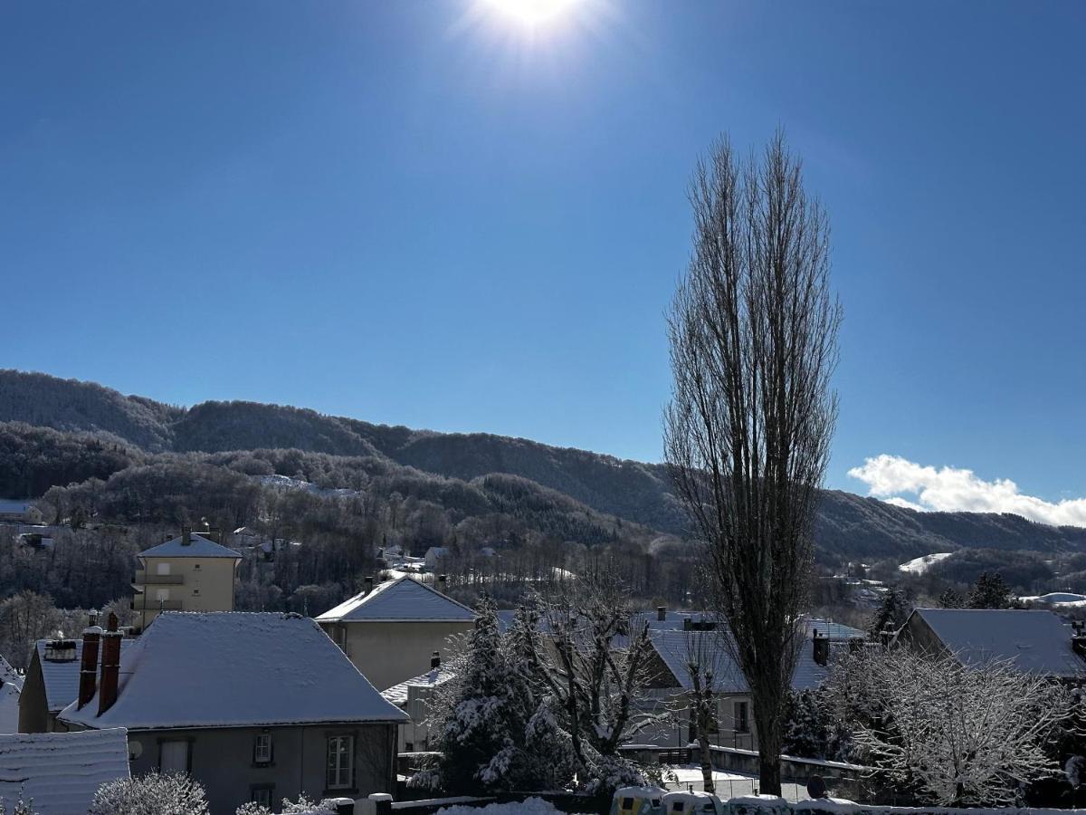 Belle Maison De Ville Au Coeur Du Village De Montagne Vic-sur-Cère Eksteriør billede